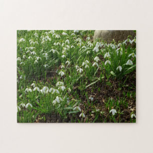 Snödroppar II (Galanthus) Vår Blommigt Pussel