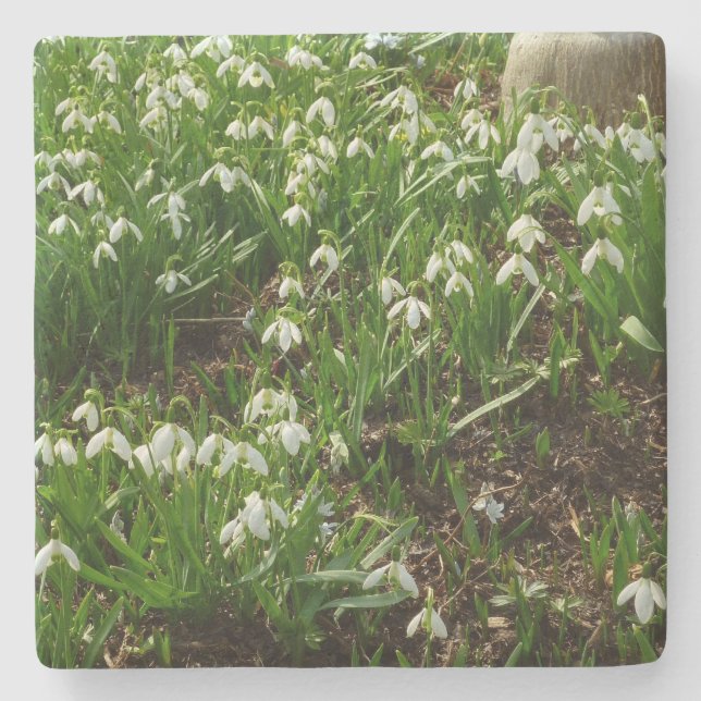 Snödroppar II (Galanthus) Vår Blommigt Stenunderlägg (Framsidan)