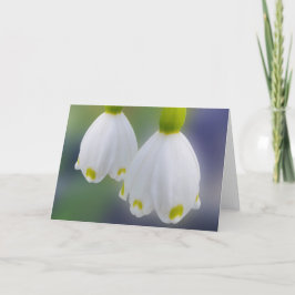 Snödroppar Kort