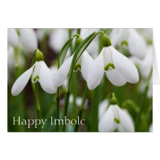 Snödroppar - Lycklig Imbolc Hälsningskort
