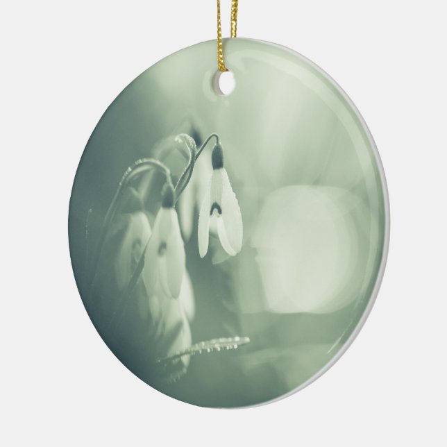 Snödroppar Natur Fotokeramisk prydnadsföremål Julgransprydnad Keramik (Vänster)