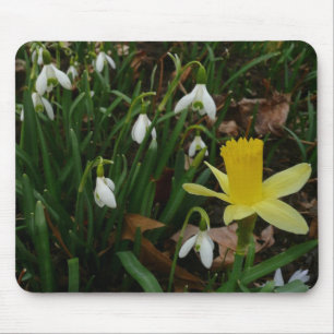 Snödroppar och Blommigten Daffodil Vår Musmatta