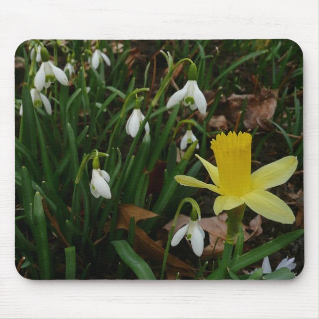 Snödroppar och Blommigten Daffodil Vår Musmatta (Framsidan)