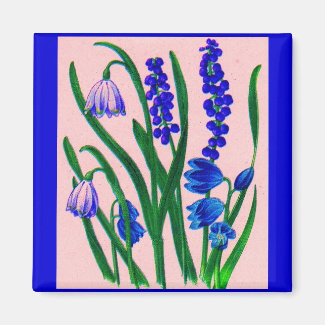 snödroppar och scilla magnet (Framsidan)