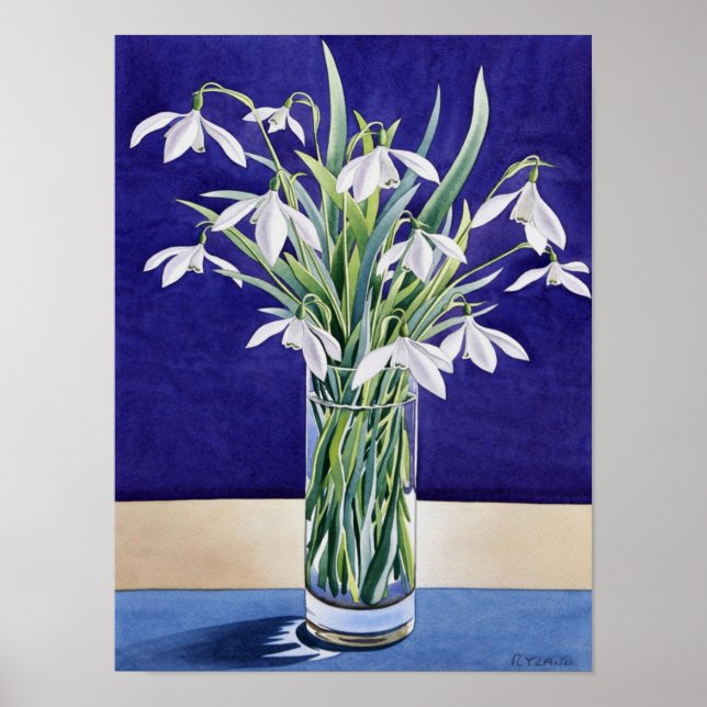 Snödroppar Poster (Framsidan)