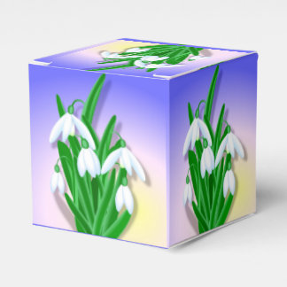 Snödroppar Presentaskar