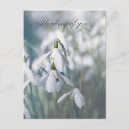 Snödroppar som tänker på dig vykort