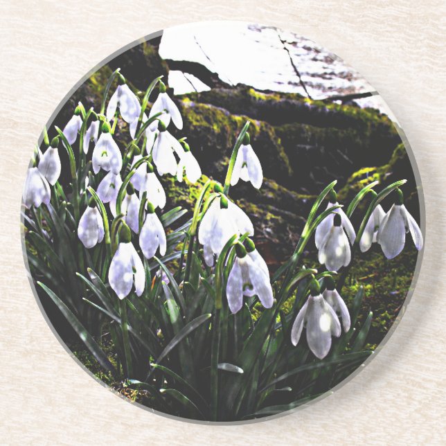 Snödroppar Underlägg (Framsidan)