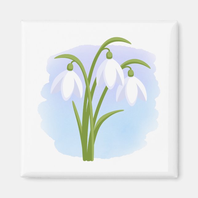 Snödroppar - Vår blommor på vattenfärgsblått Magnet (Framsidan)