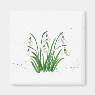 Snödroppar vita blommor vattenfärg magnet