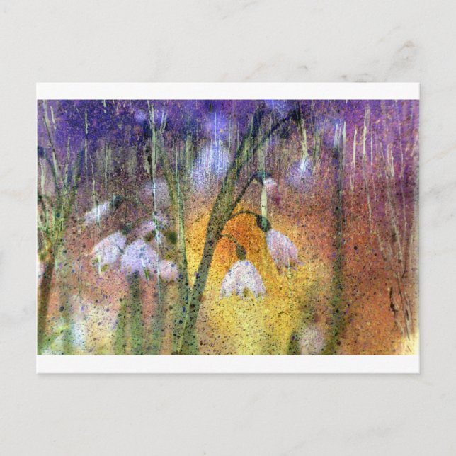 Snödroppar Vykort (Framsida)