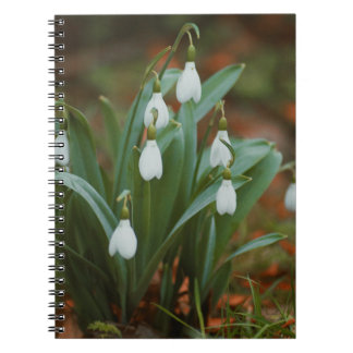 Snödroppblommor Spiral Fotbok - bärbar dator Anteckningsbok