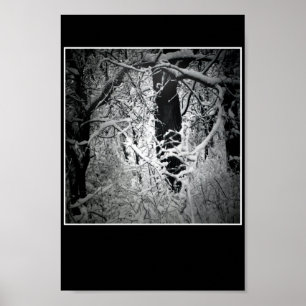 snödrottning berså poster