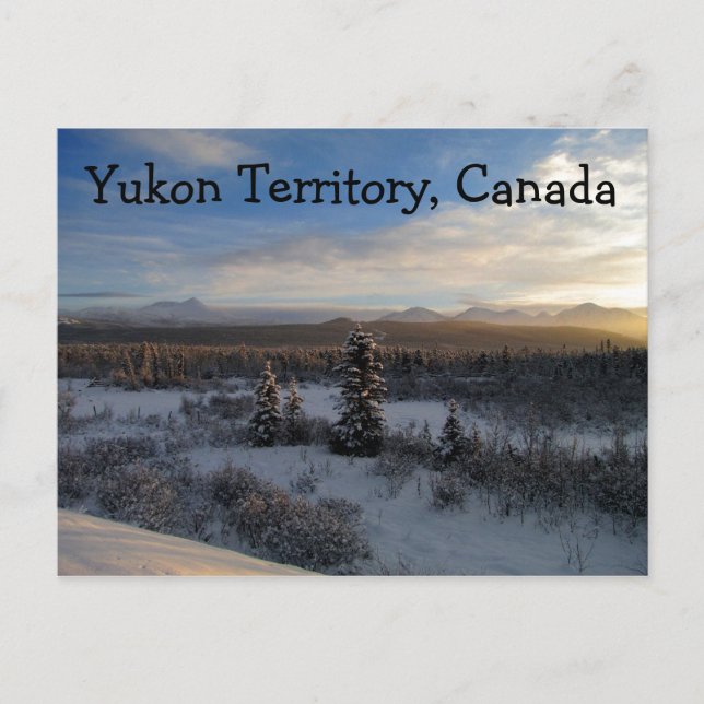 Snöeftermiddag. Yukon Territory, Kanada Vykort (Framsida)