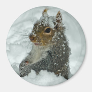 Snöekorremagnet Magnet