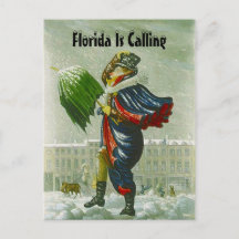 SNÖFÅGELNS ANNONS VINTERADRESS POSTKORT