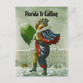 SNÖFÅGELNS ANNONS VINTERADRESS POSTKORT MEDDELANDE VYKORT