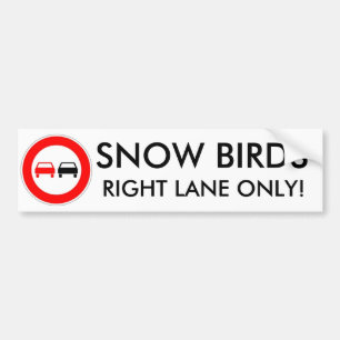 Snöfåglar Bildekal
