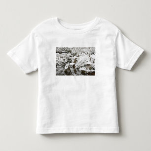 Snöfall i Portland Japanska trädgården, 2 T-shirt