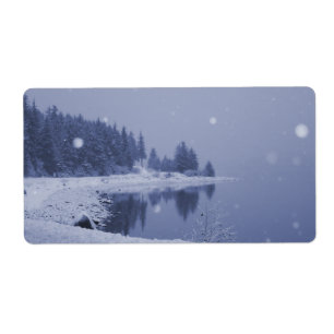 Snöfall vid havet fraktsedel