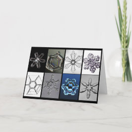 Snöfångare Snöflingor förbättrade Kort
