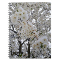 Snöfärgade blommar