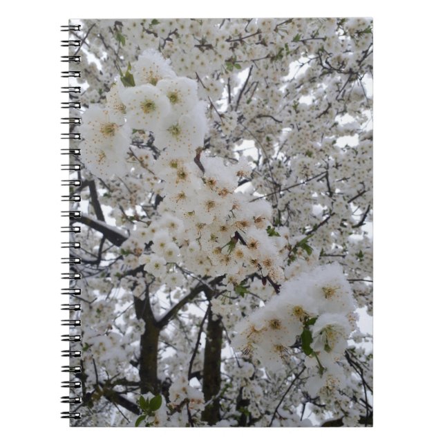 Snöfärgade blommar anteckningsbok (Framsidan)