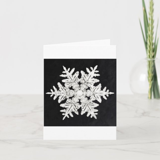 Snöflinga 4 julkort helgkort (Framsida)