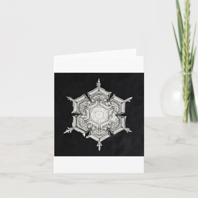 Snöflinga 7 julkort helgkort (Framsida)