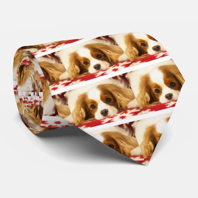 Snöflinga Cavalier King Charles Spaniel Slips (Rullad)
