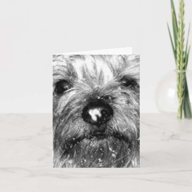 snöflinga kort (Framsida)