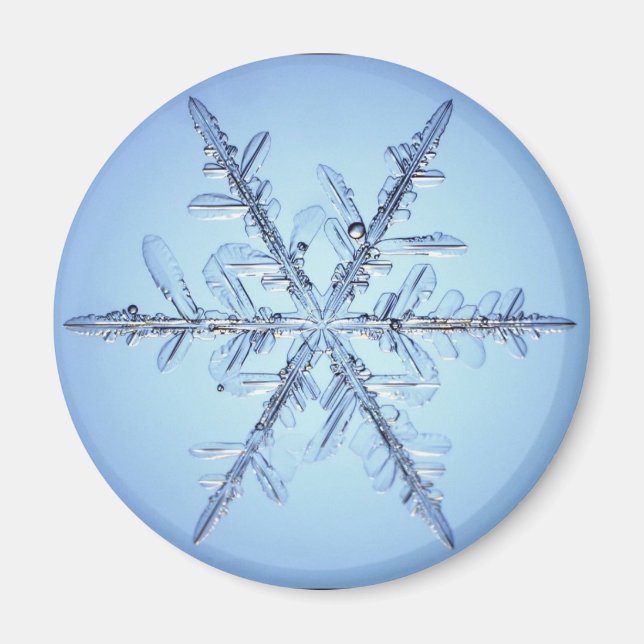 snöflinga magnet (Framsidan)