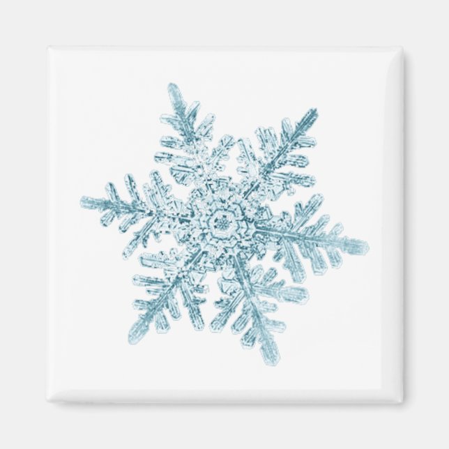 Snöflinga Magnet (Framsidan)