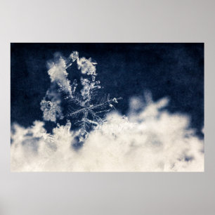 Snöflinga Poster