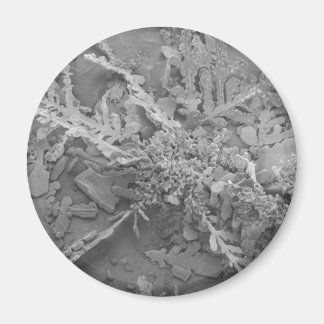 Snöflingor 1 magnet