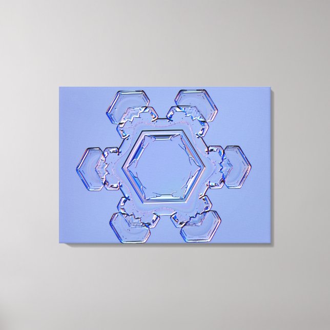 Snöflingor 6 canvastryck (Framsida)