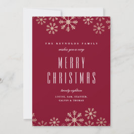 Snöflingor Familj Julkort Inbjudningar