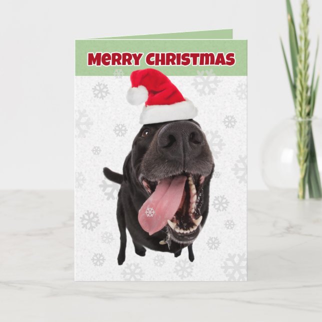 Snöflingor för Rolig hund fångst i God jul Helgkort (Framsida)