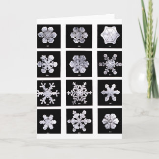 Snöflingor Helgkort