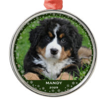 Snöflingor husdjur namn foto jul