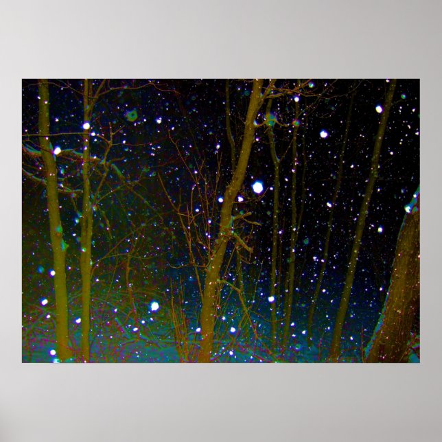 Snöflingor i skogen poster (Framsidan)