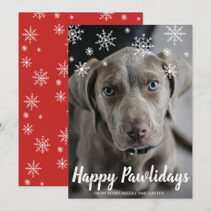 Snöflingor Lycklig Pawlidays Photo Hund jul Julkort