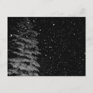 snöflingor på ett unikt nattfoto vykort