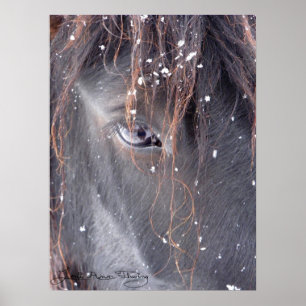 Snöflingor på Fell Pony Poster
