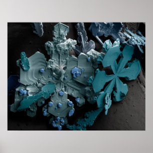 Snöflingor Poster