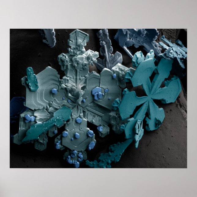 Snöflingor Poster (Framsidan)