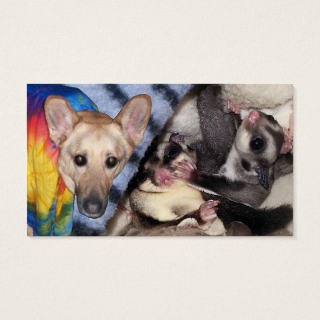 Snöflingor, tyska Shepherd, Sugar Glider Julafton  Visitkort (Baksidan)