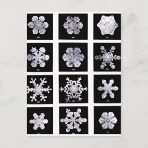 Snöflingor Vykort