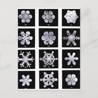 Snöflingor Vykort
