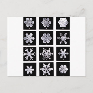 Snöflingor Vykort